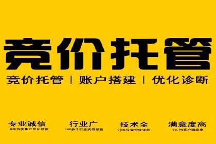 某电商平台的成功信息流广告投放经验